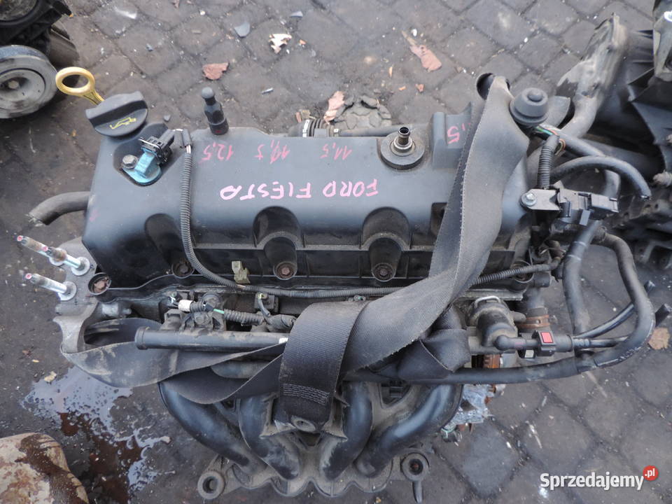 FORD FIESTA VI MK6 13 A9JA 69 SILNIK BENZYNA
