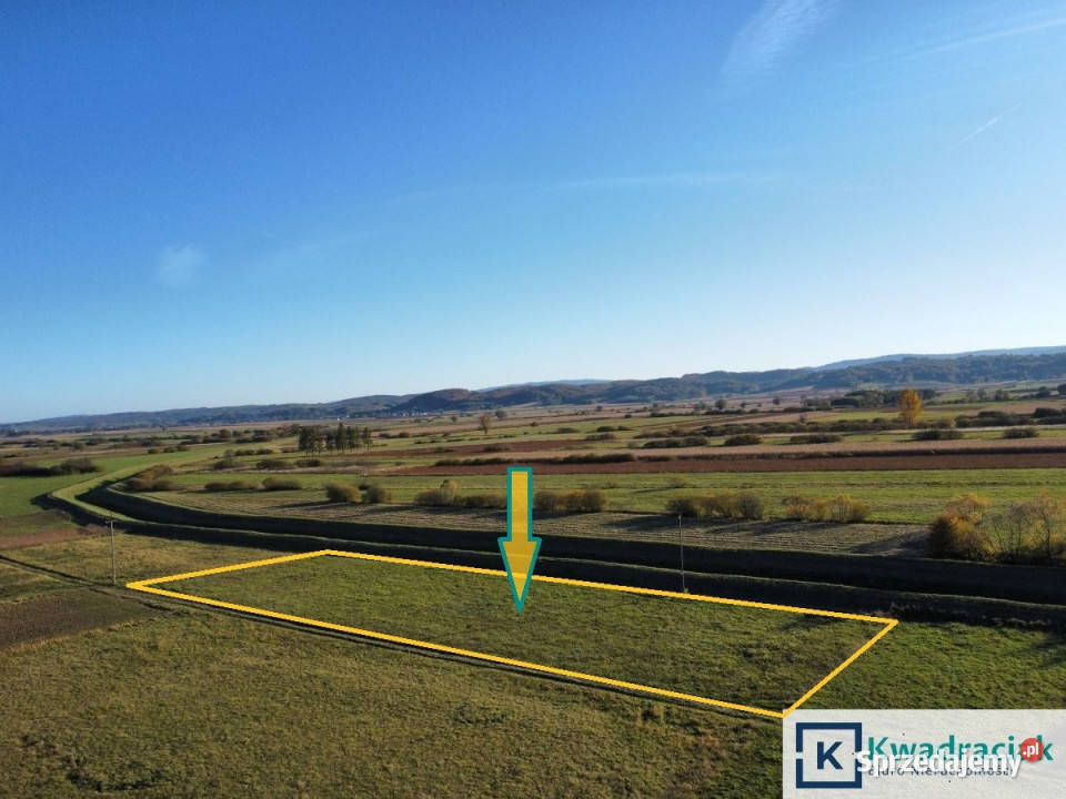 Działka Bzianka 3000m2 podkarpackie sprzedam