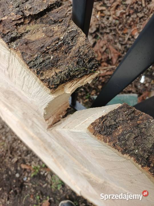 Plaster drewna Jesion 90 Bytom