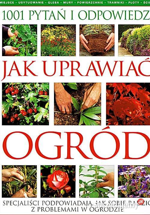 UPRAWIAĆ OGRÓD 1001 pytań i odpowiedzi dom i ogród Chorzów