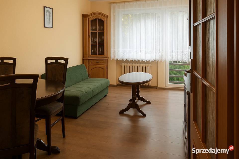 Mieszkanie 2pokojowe 50mkw Nowa Wieś kBolesławca Sprzedaż