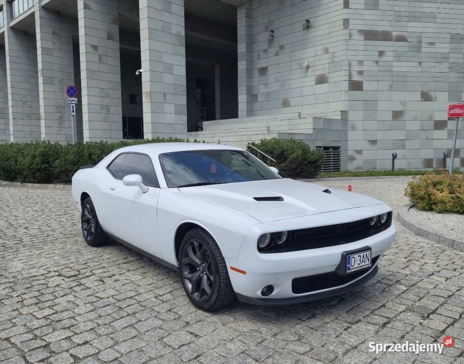 Dodge Challenger SXT 36 V6 2020 305 Challenger Wrocław