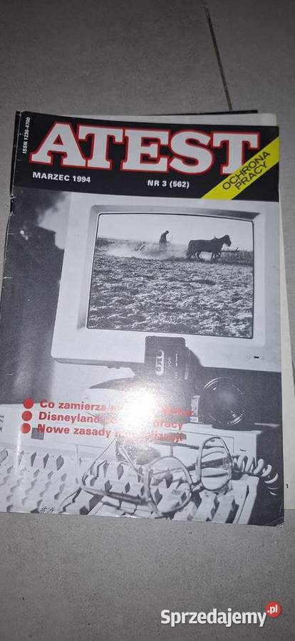 ATEST 31994 Legenda BHP Disneyland Ochrony Pracy Łęczyca