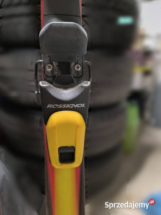 Sprzedam narty Narty śląskie Bytom