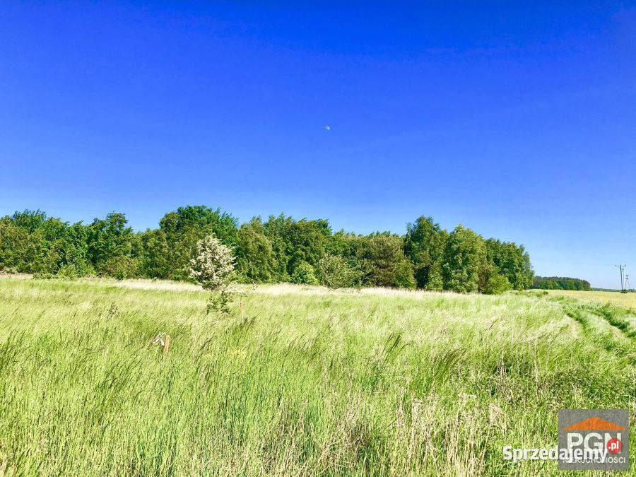 Grunt Świerzno 890m2 zachodniopomorskie