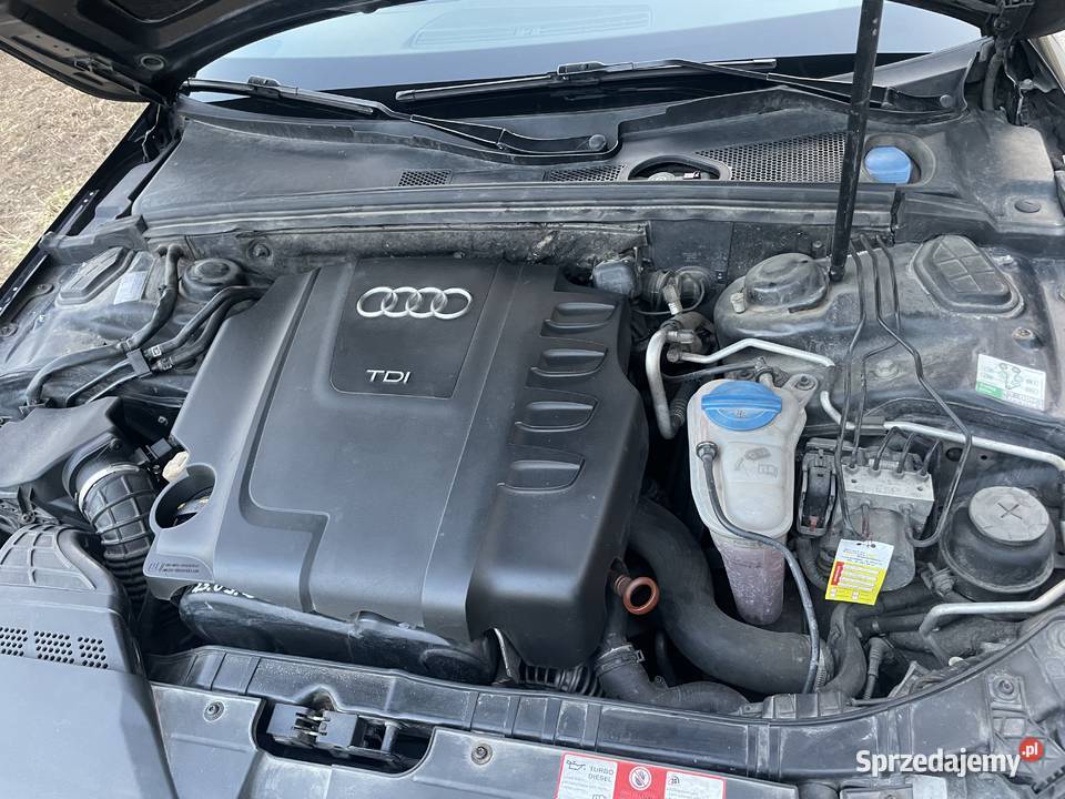 Audi A4 B8 20TDI 170 2008r BIXENON manualna warmińsko-mazurskie Pisz