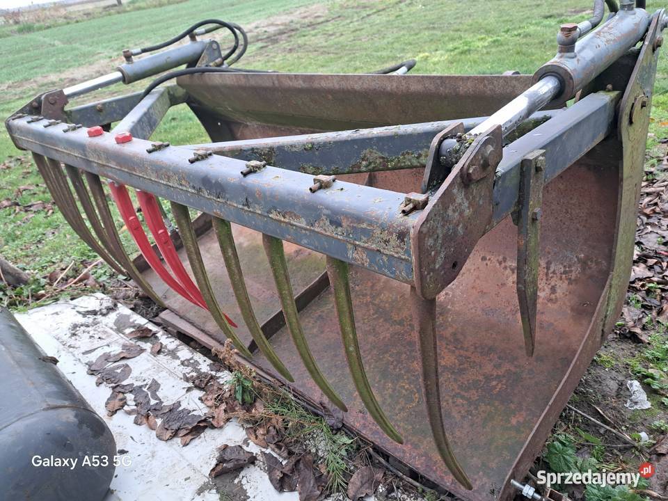 Łyżkokrokodyl w b stanie Iłża