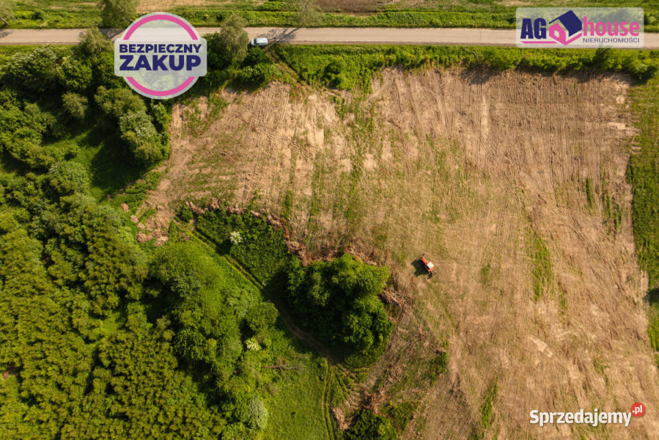 Grunt 3180m2 Łęcze sprzedam