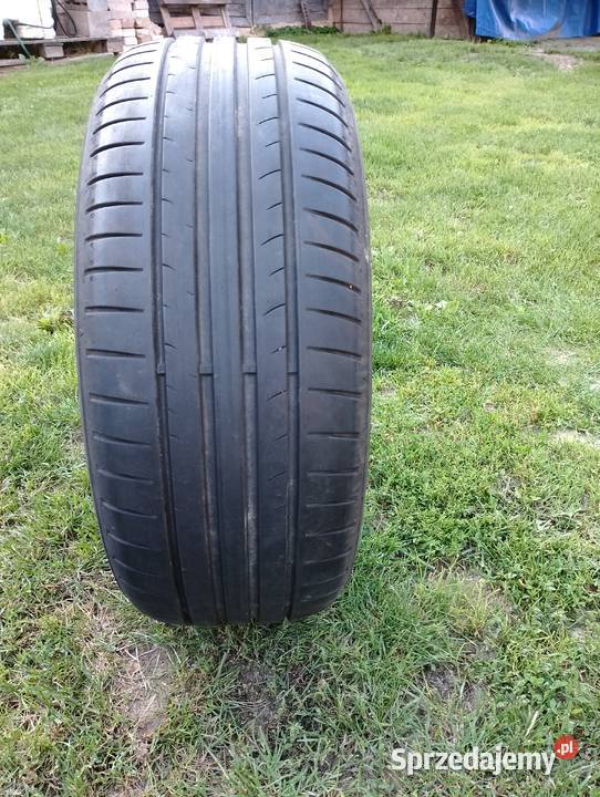Opona DUNLOP 20555 R16 80 Palikije Pierwsze