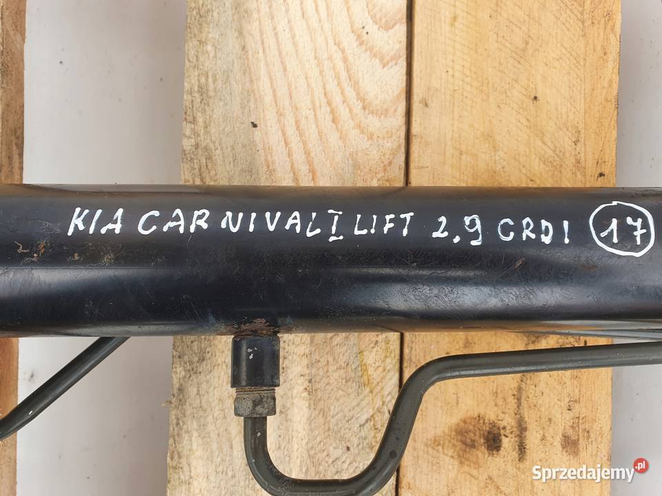 Kia Carnival I MAGLOWNICA przekładnia EUROPA Rudka