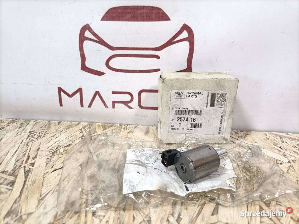 PEUGEOT CITROEN RENAULT ELEKTROZAWÓR