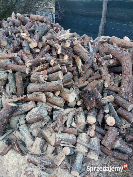 Drewno opałowe i kominkowe Włocławek