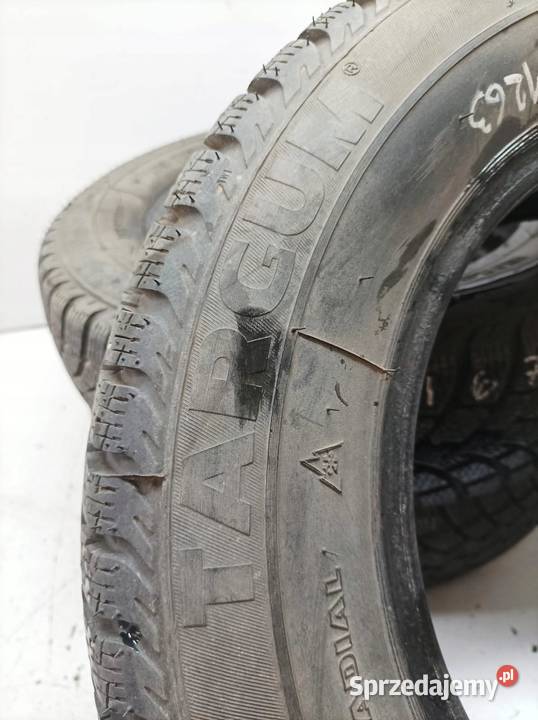 4x OPONA ZIMOWA TARGUM 17570R14 272485 272485