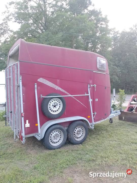 Przyczepa do przewozu koni Motoryzacja