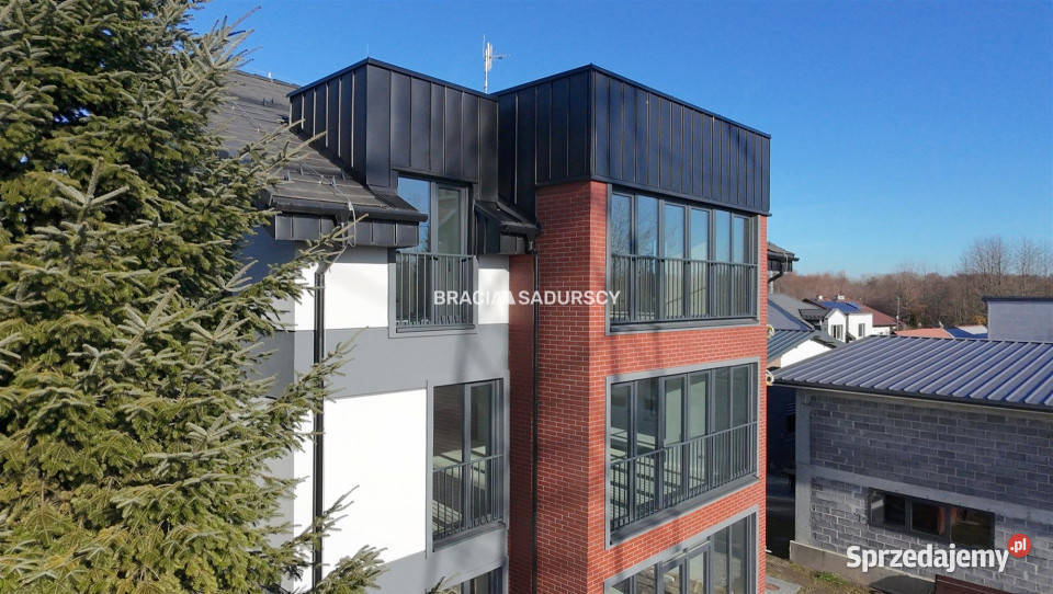 Lokal Kraków Łęg 310m2 od ulicy