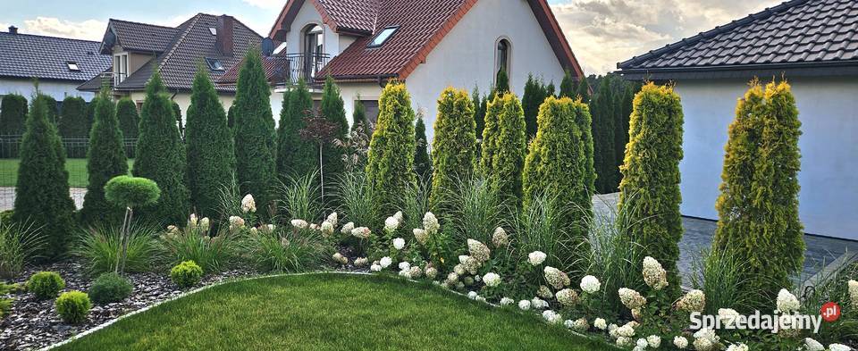 Oferuję na sprzedaż słoneczny dom plaży w 100m2 Ślesin