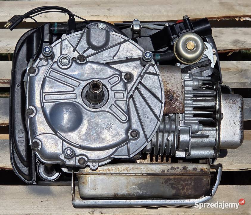Sprzedam silnik BriggsStratton OHV 2 INTEK 60 Jasienica