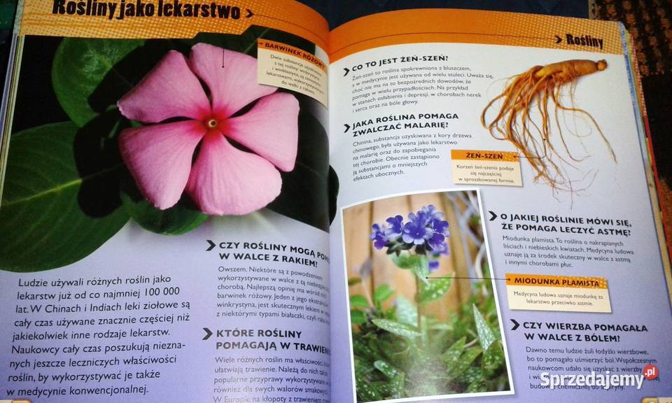 Wielka księga pytań i odpowiedzi John Farndon i Chełm