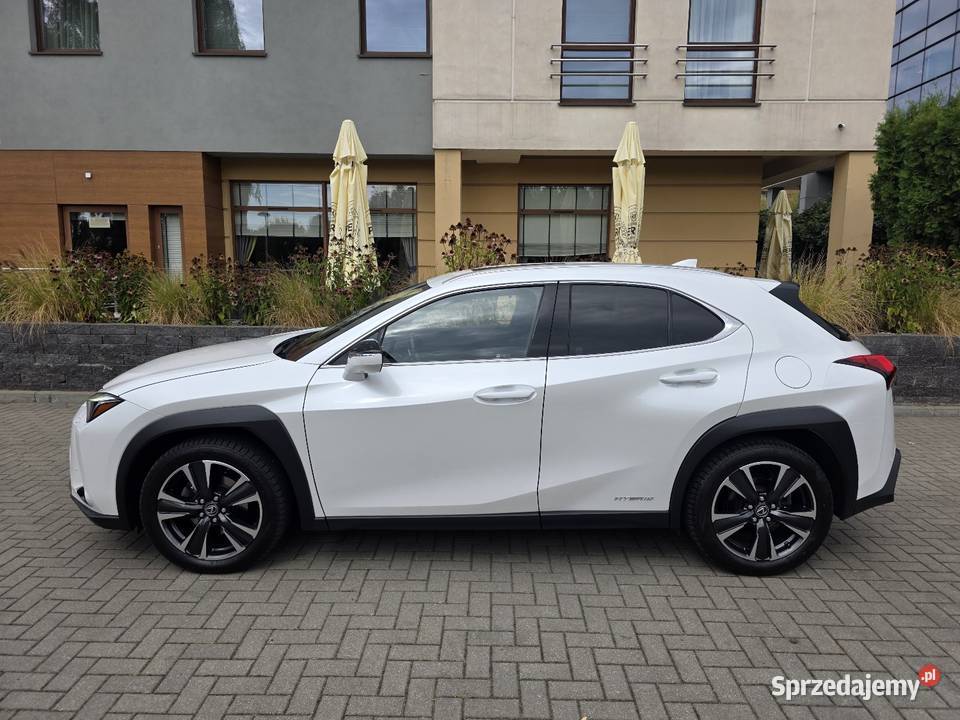 Lexus UX 250H Omotenashi Mark Levinson Już lubelskie Lublin
