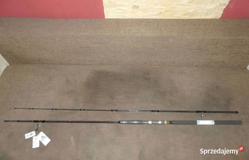 Zestaw spinningowy Sosnowiec