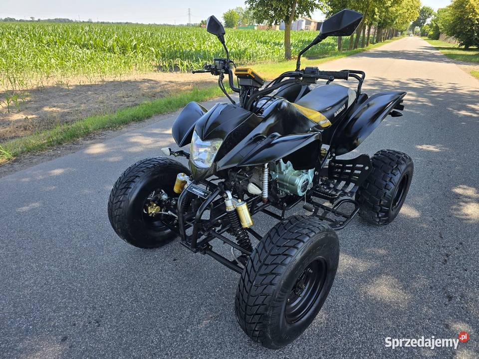 Quad Bashan Bs 250cc Duża Rama 41R Ciecz 2014r Bashan