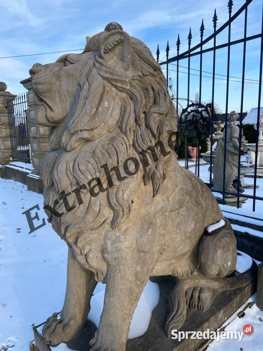 Lew pałacowy H220 figura z Kamienia Wrocław