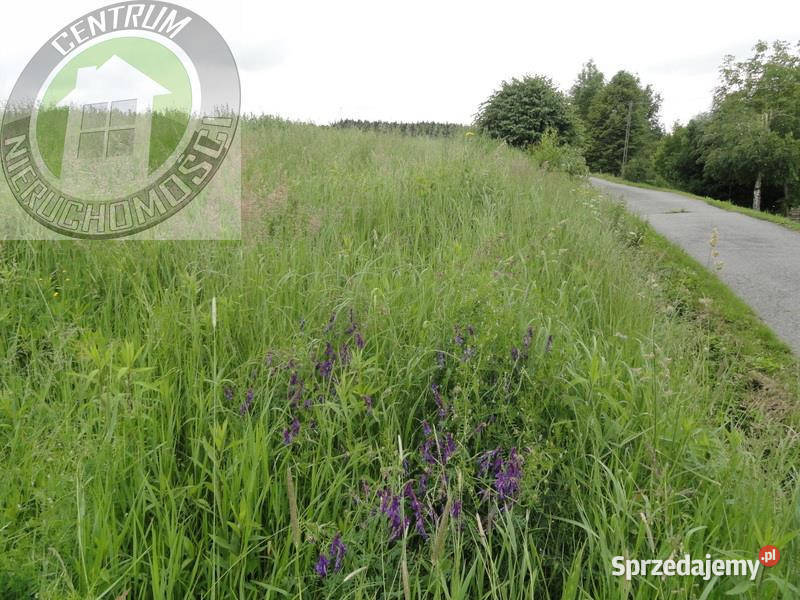 Grunt Wojnarowa 1500m2 sprzedam