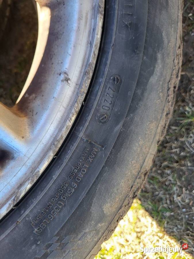 Opony letnie 20555 16 kormoran road performance Pułtusk