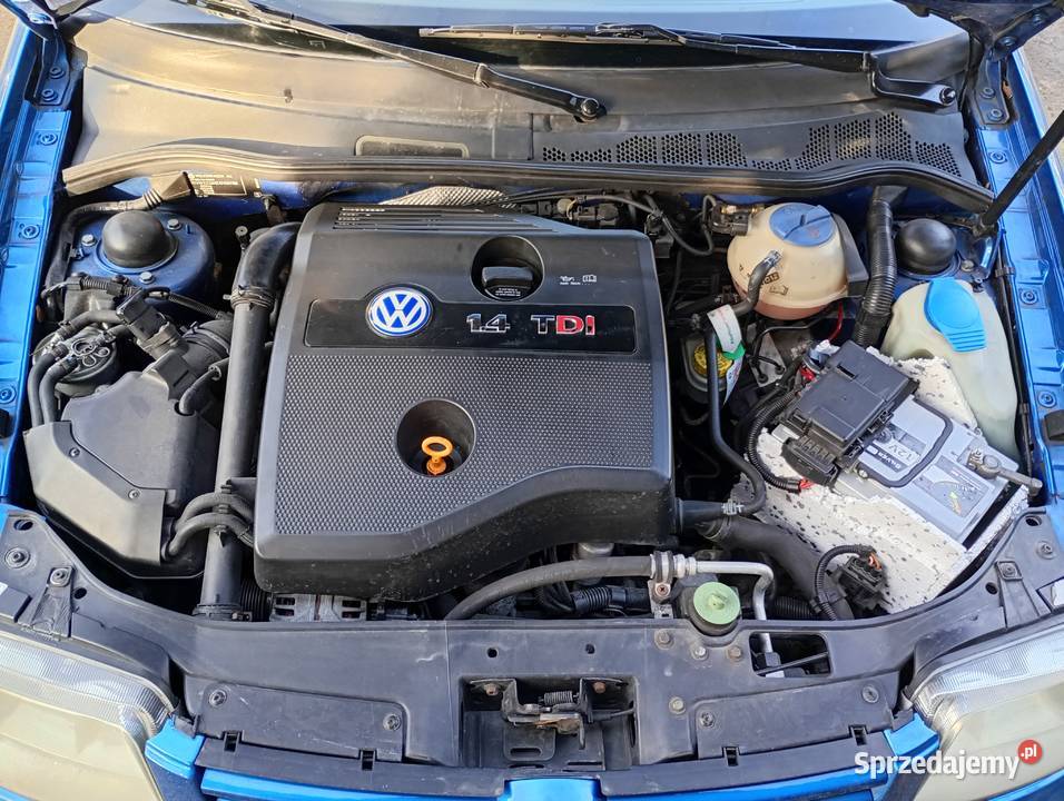 Volkswagen Polo 6n2 2001 Rok produkcji 2001 Skórcz