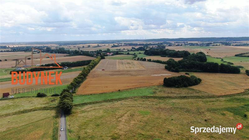 Działka rolna Rusinowo 3000m2 Sprzedaż