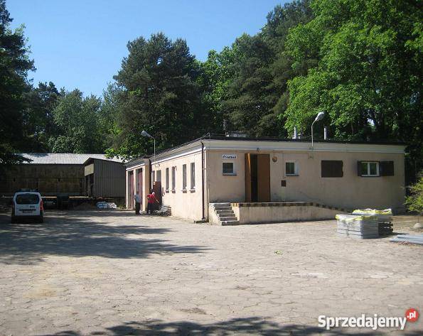 ORANGE POLSKA NIERUCHOMOSCI ŁOMIANKI Pionierów 3 Łomianki