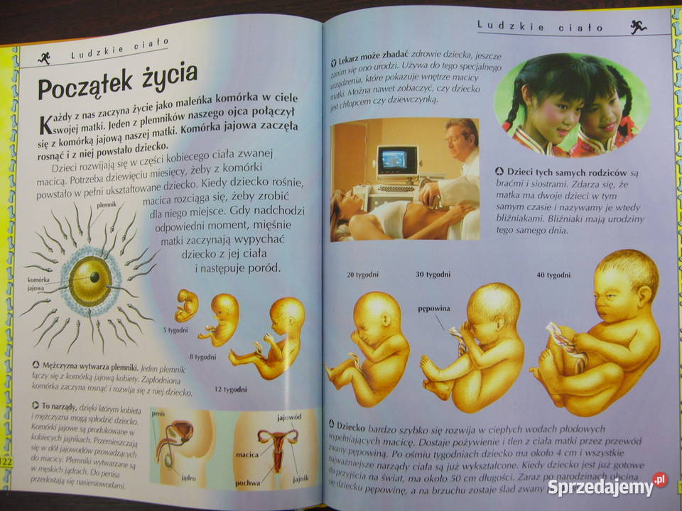 Moja pierwsza encyklopedia Kultura i Rozrywka Warszawa