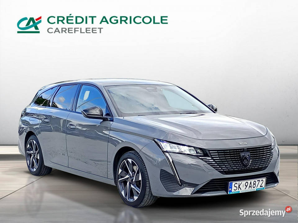 Peugeot 308 15 BlueHDi 130 Allure Pack Salon