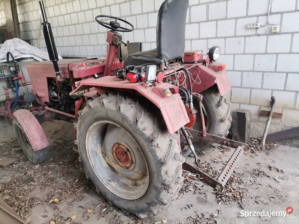 władimirec T25 podlaskie Augustów