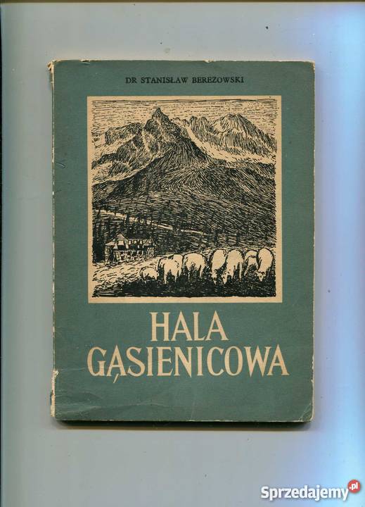 Hala Gąsienicowa Szczecin