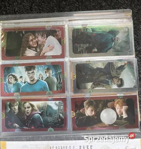 Karty Panini Harry Potter Pozostałe Kraków