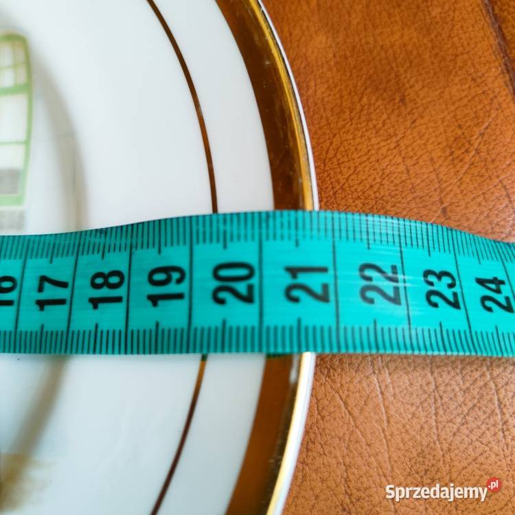 Angielska porcelana PanhardLevassor 1895 talerz Warszawa