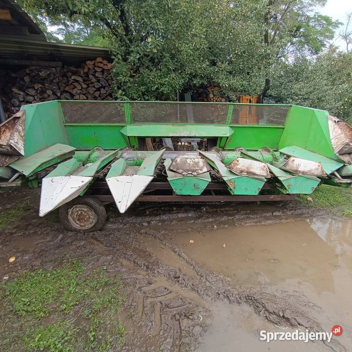 Przystawka do słonecznika bizonClaas Zbożowe Zbożowe dolnośląskie Wołów