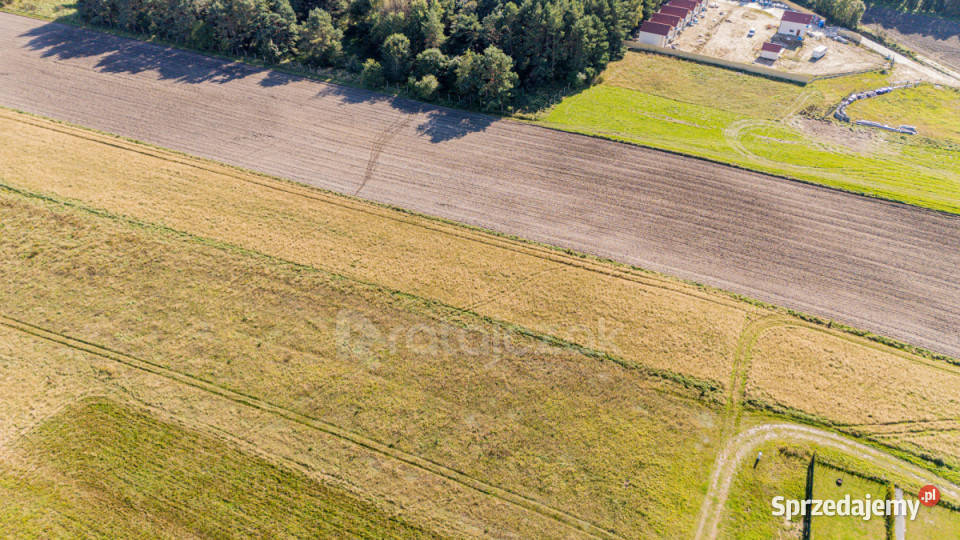 Grunt na sprzedaż Władysławowo Szkolna 2000m2 utwardzona pomorskie sprzedam