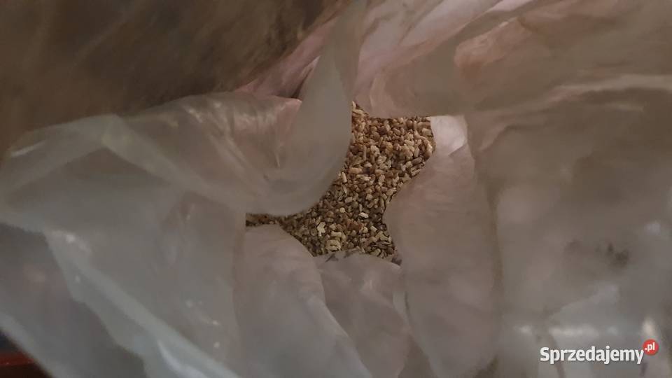 Regranulat politylen plastik miał cząstki worek