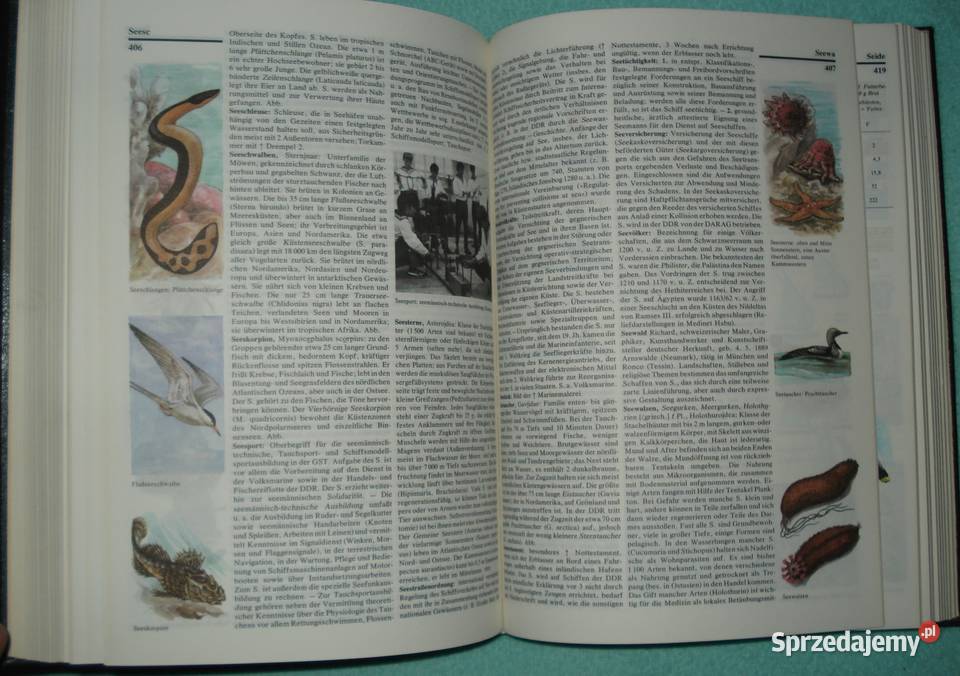 Meyers Neues Lexikon Antyki, Sztuka, Kolekcje