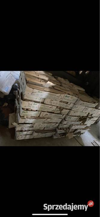 Kamien elewacyjny Zator