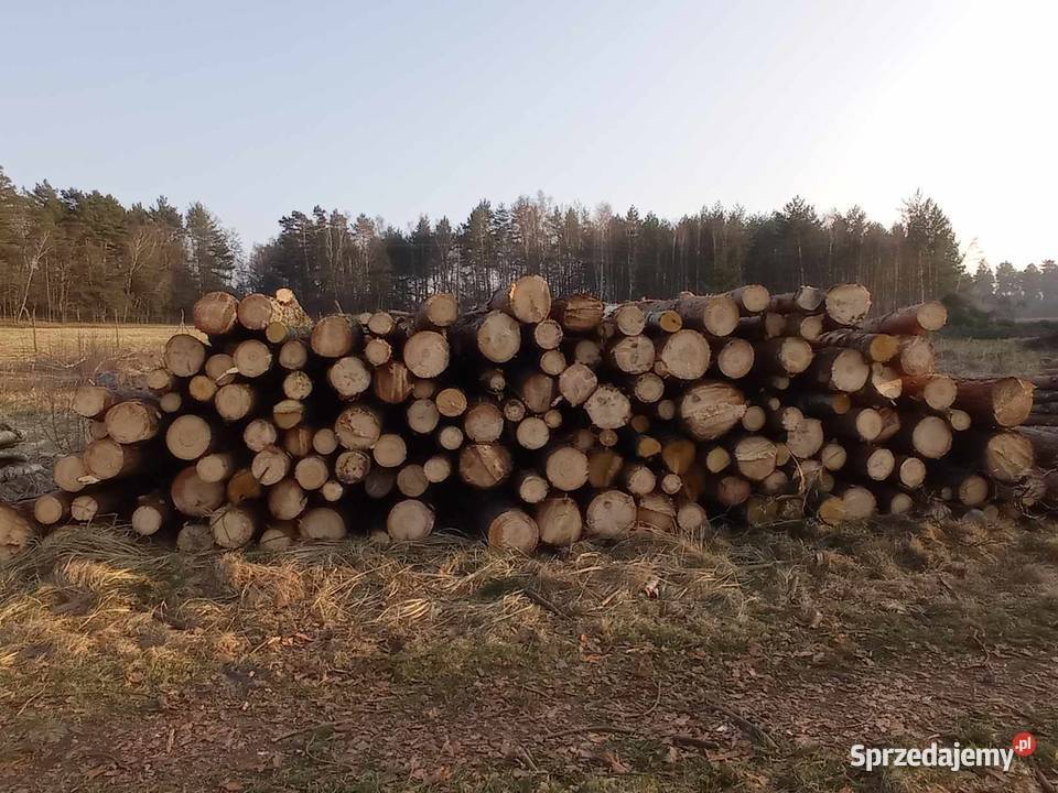 Drewno opałowe sosna Bolesławiec sprzedam