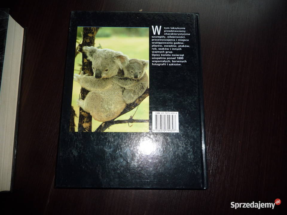 leksykon zwierząt a do ż Lutowiska