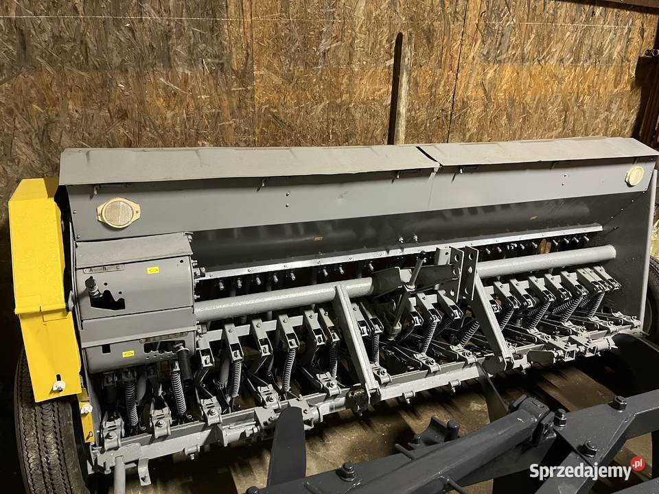 Siewnik Poznaniak Golub-Dobrzyń