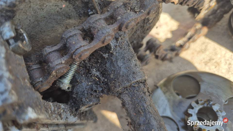 Komar silnik Silniki podlaskie