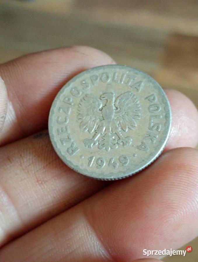 Sprzedam nastepna monete 1 zloty 1949 r bzm Numizmatyka Chełm