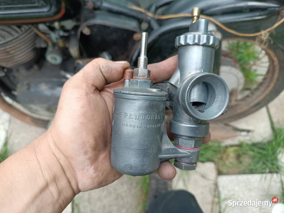 Panonia śląskie Jaworzno