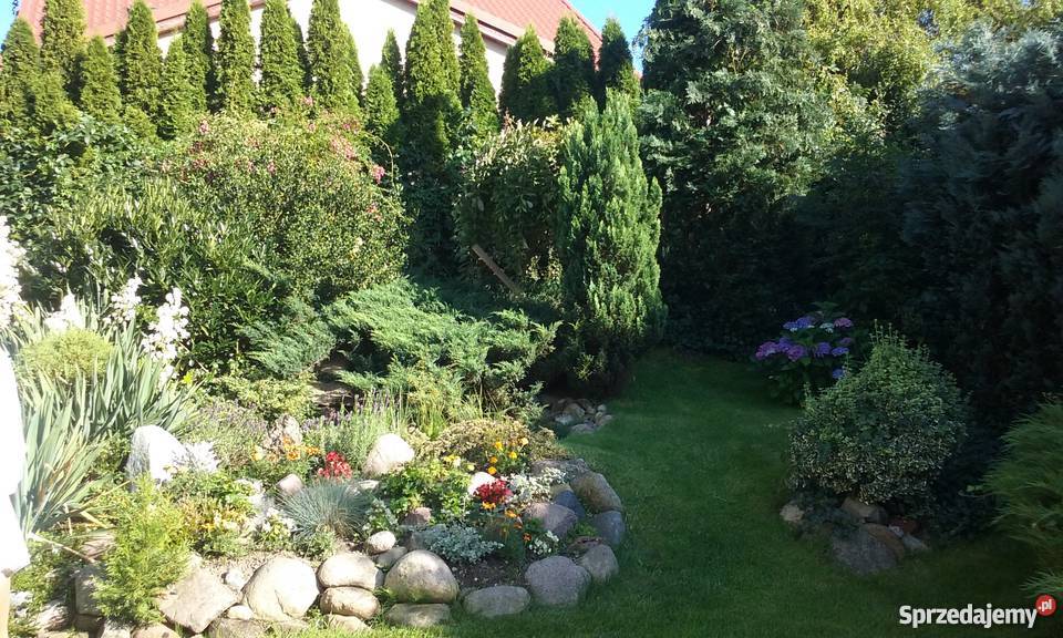 Sprzedam Dom Świdwin