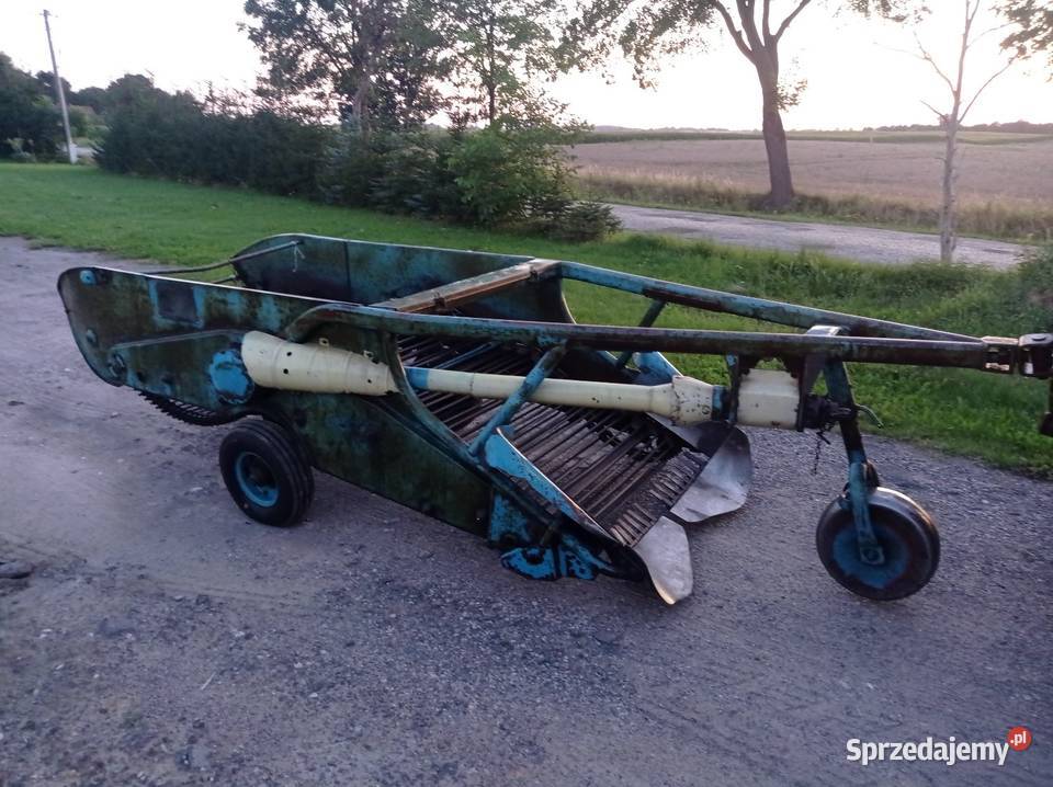 Kopaczka do ziemniaków elewatorowe Krążno sprzedam